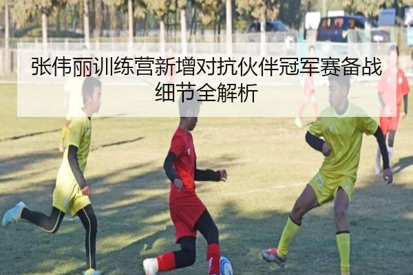 张伟丽训练营新增对抗伙伴冠军赛备战细节全解析